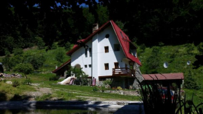 Гостиница Pensiunea Vila Cerbul  Godeanu